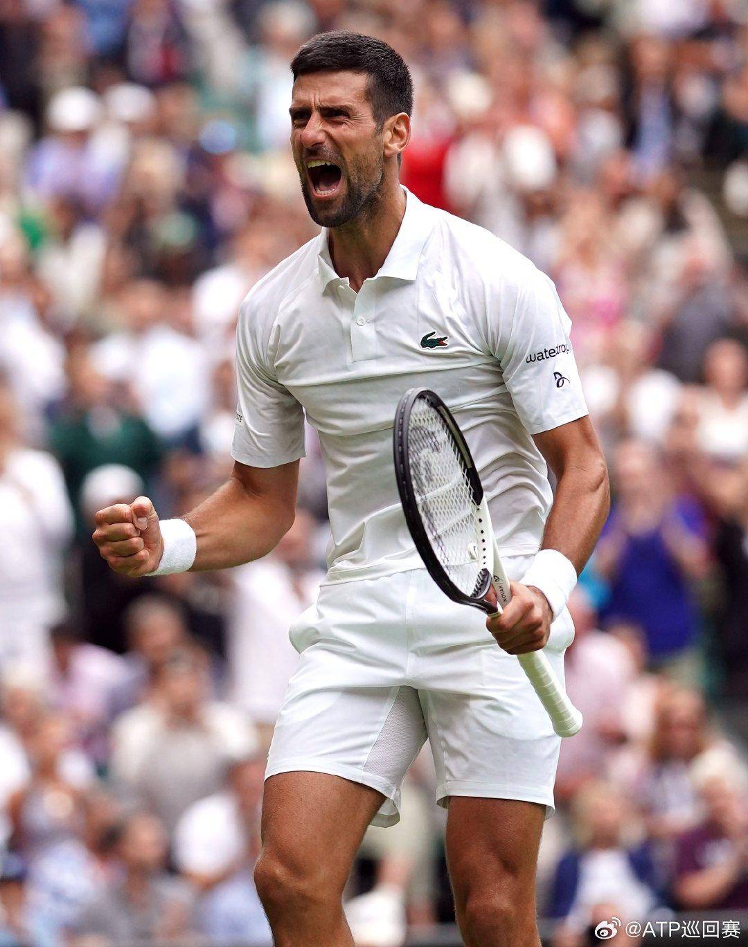 包括营养补 包括营养补